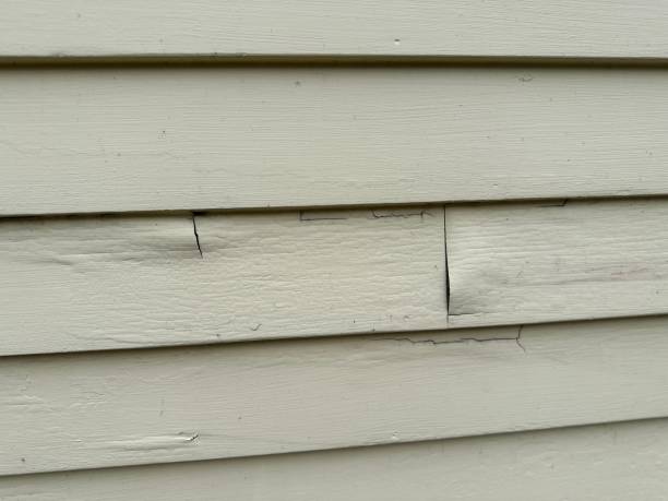 Shed Removal in Lucasville, OH